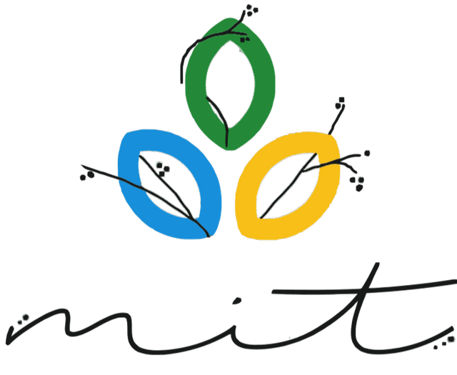 MIT Logo